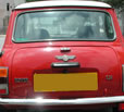 backview